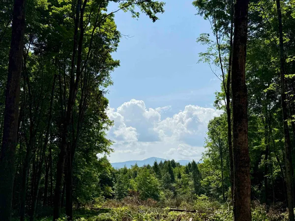$175,000 | 0 Vt Route 14, East Montpelier, VT 05651