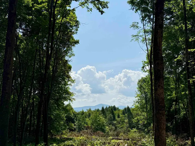 $175,000 | 0 Vt Route 14, East Montpelier, VT 05651