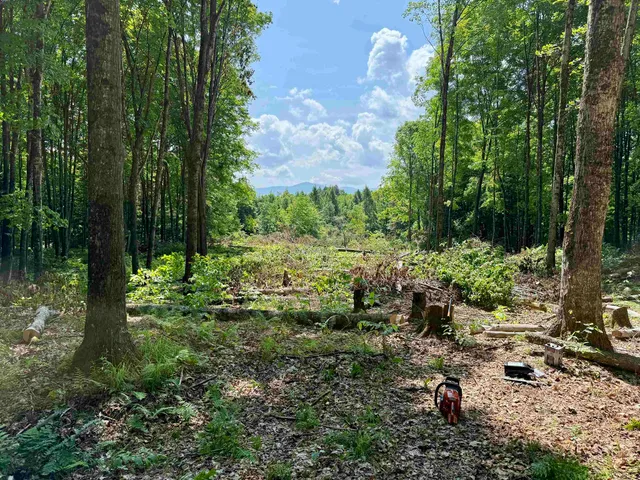 $175,000 | 0 Vt Route 14, East Montpelier, VT 05651
