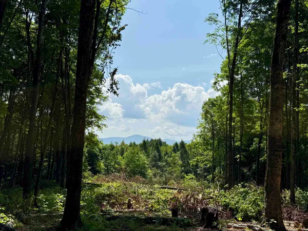 $175,000 | 0 Vt Route 14, East Montpelier, VT 05651