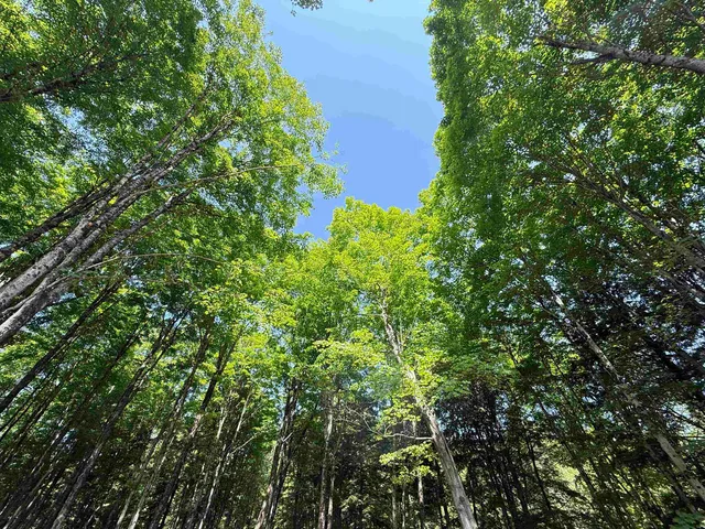 $175,000 | 0 Vt Route 14, East Montpelier, VT 05651