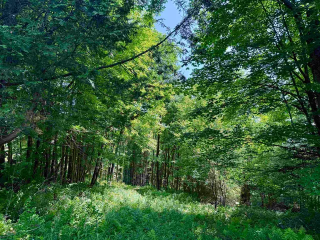 $175,000 | 0 Vt Route 14, East Montpelier, VT 05651