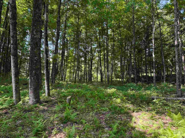 $175,000 | 0 Vt Route 14, East Montpelier, VT 05651