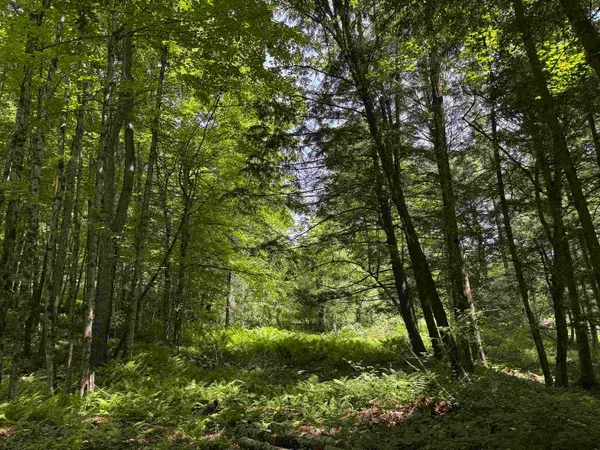 $175,000 | 0 Vt Route 14, East Montpelier, VT 05651