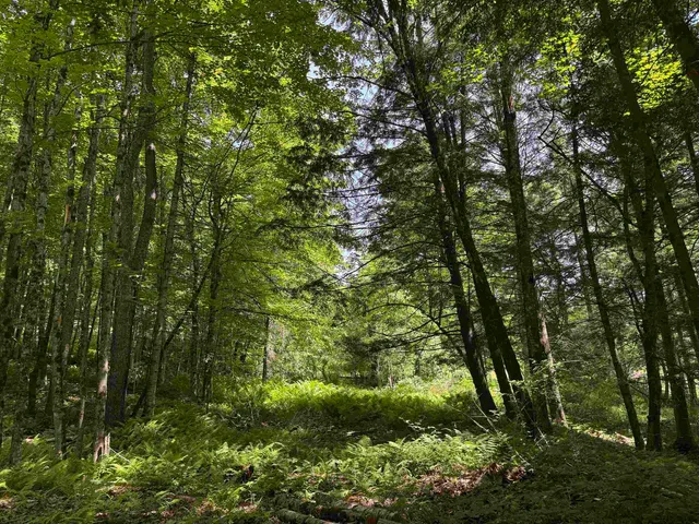 $175,000 | 0 Vt Route 14, East Montpelier, VT 05651