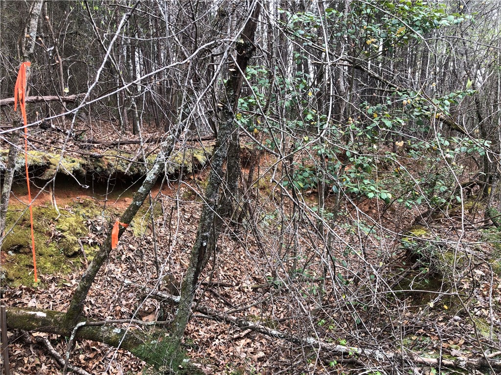 0 Old Liberty Pickens Road Pickens, SC 29671 - Photo 12 of 26