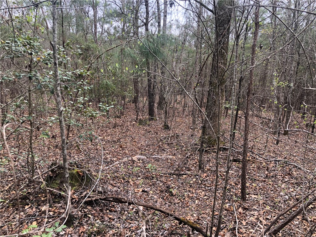 0 Old Liberty Pickens Road Pickens, SC 29671 - Photo 13 of 26