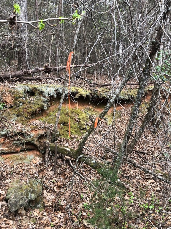 0 Old Liberty Pickens Road Pickens, SC 29671 - Photo 10 of 26