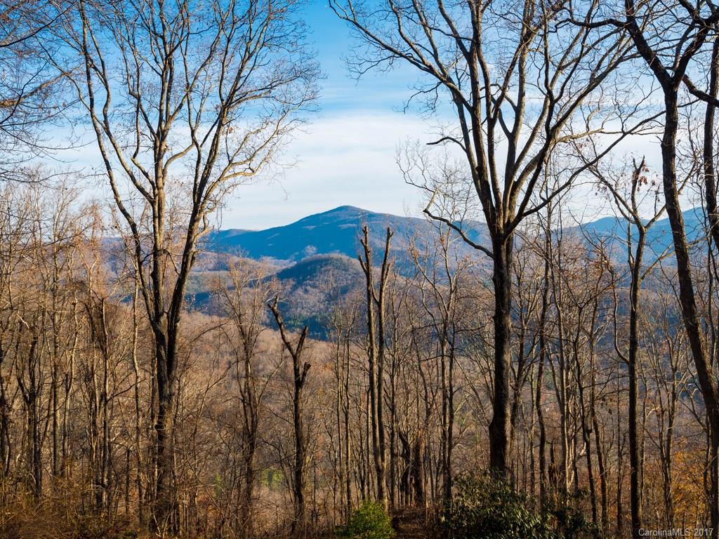 355 Flat Top Mountain Road, Unit 58 Fairview, NC 28730 - Photo 4 of 24 Gallery Image 4