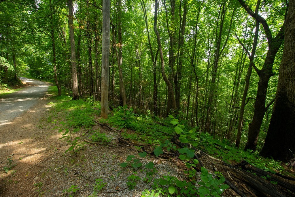 13 Sugar Maple Loop Road Sevierville, TN 37862 - Photo 8 of 15
