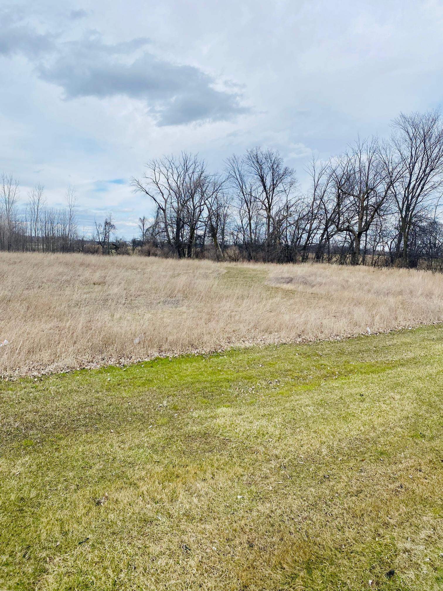 Tbd Pickard Road Mount Pleasant, MI 48858 - Photo 2 of 5 Gallery Image 2