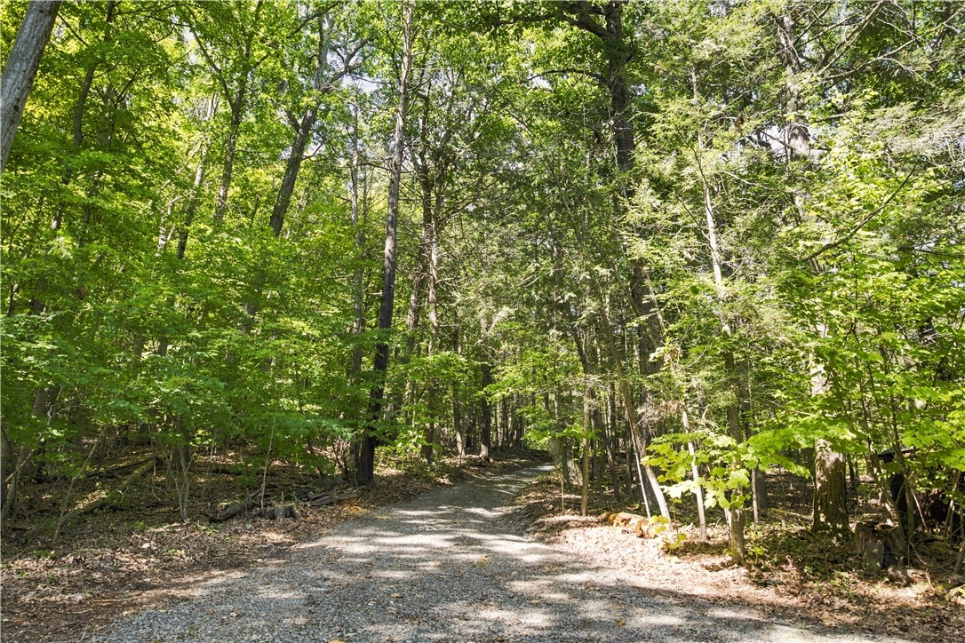 4384 Argetsinger Road Reading, NY 14878 - Photo 39 of 48 Gallery Image 39