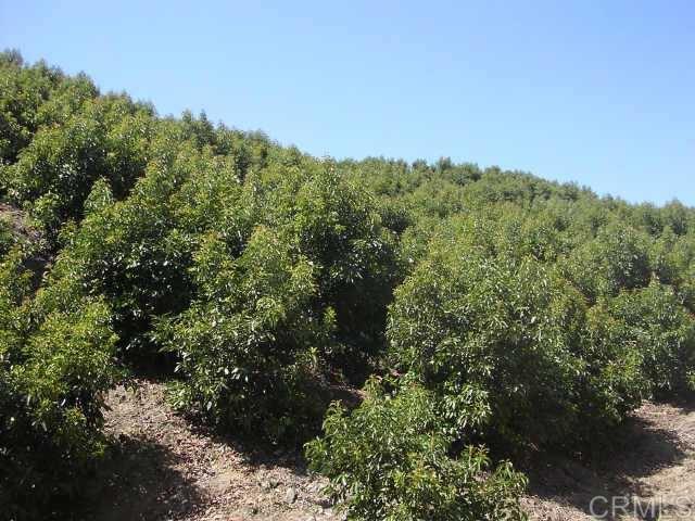870 Stewart Canyon Road Fallbrook, CA 92028 - Photo 3 of 6