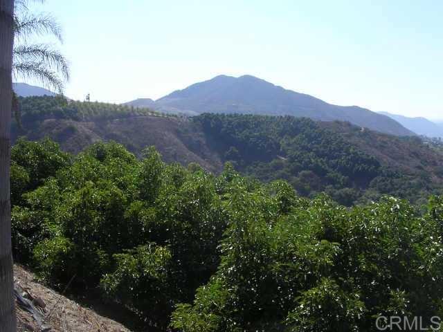 870 Stewart Canyon Road Fallbrook, CA 92028 - Photo 6 of 6