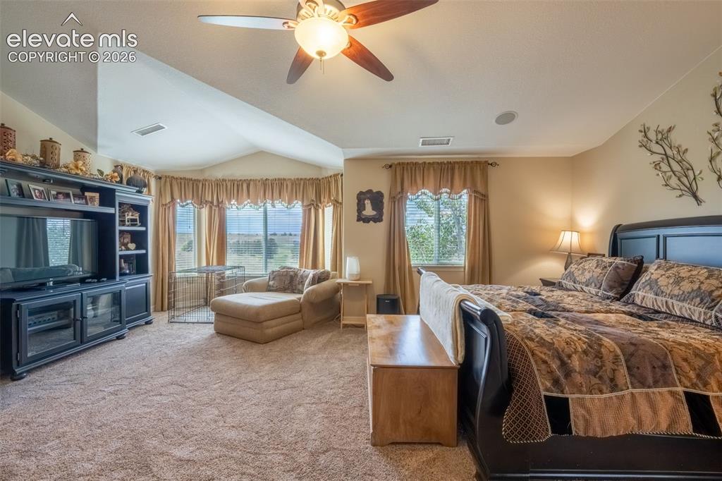 2385 Antelope Ridge Trail Parker, CO 80138 - Photo 29 of 47 MAIN BEDROOM WITH FIREPLACE