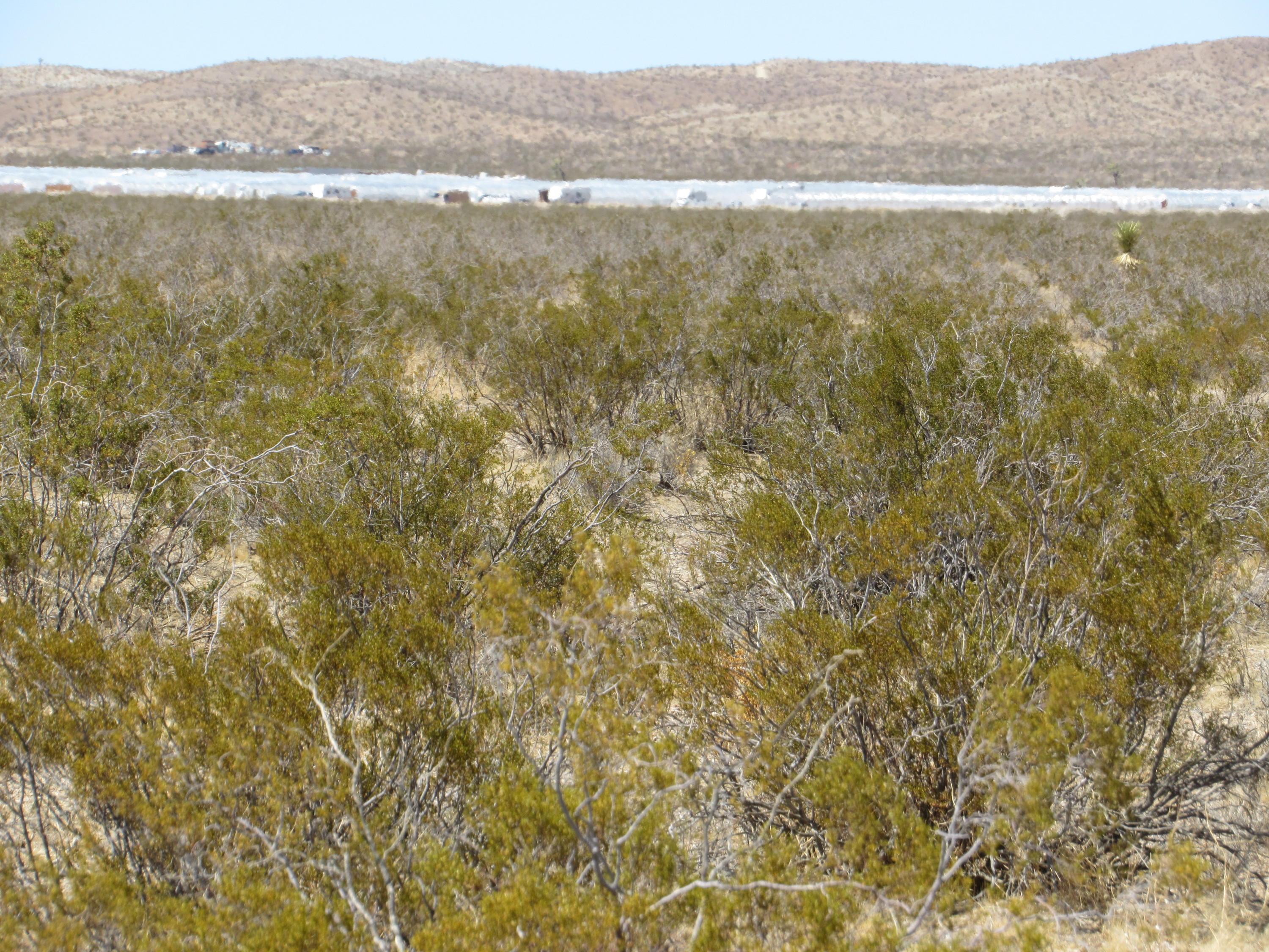 Vinton Road Adelanto, CA 92301 - Photo 2 of 5 a view of lake and mountain