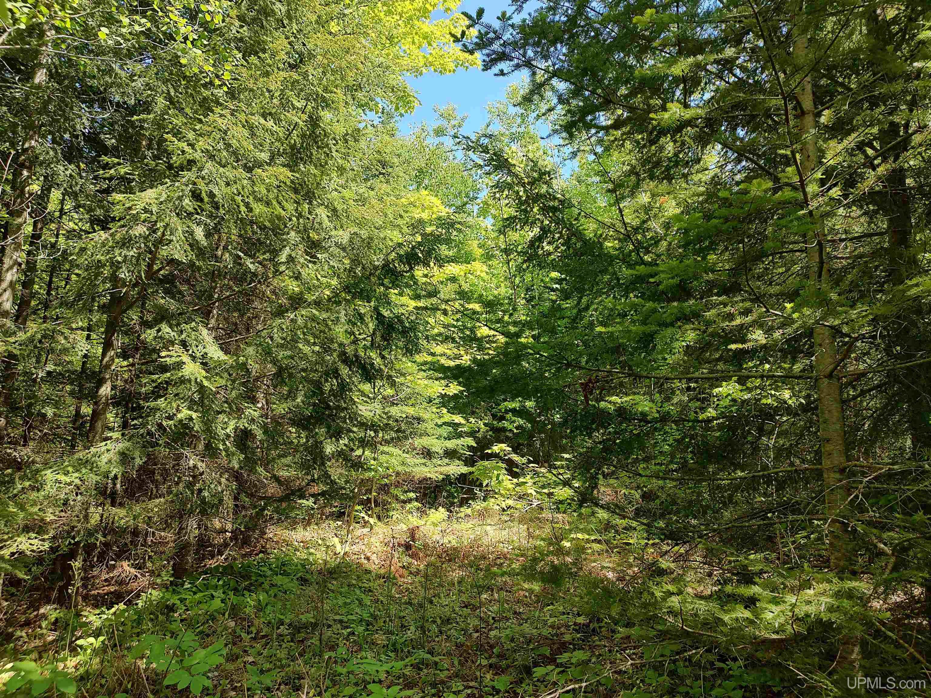 Tbd Rockland Road Ontonagon, MI 49953 - Photo 18 of 26 Gallery Image 18