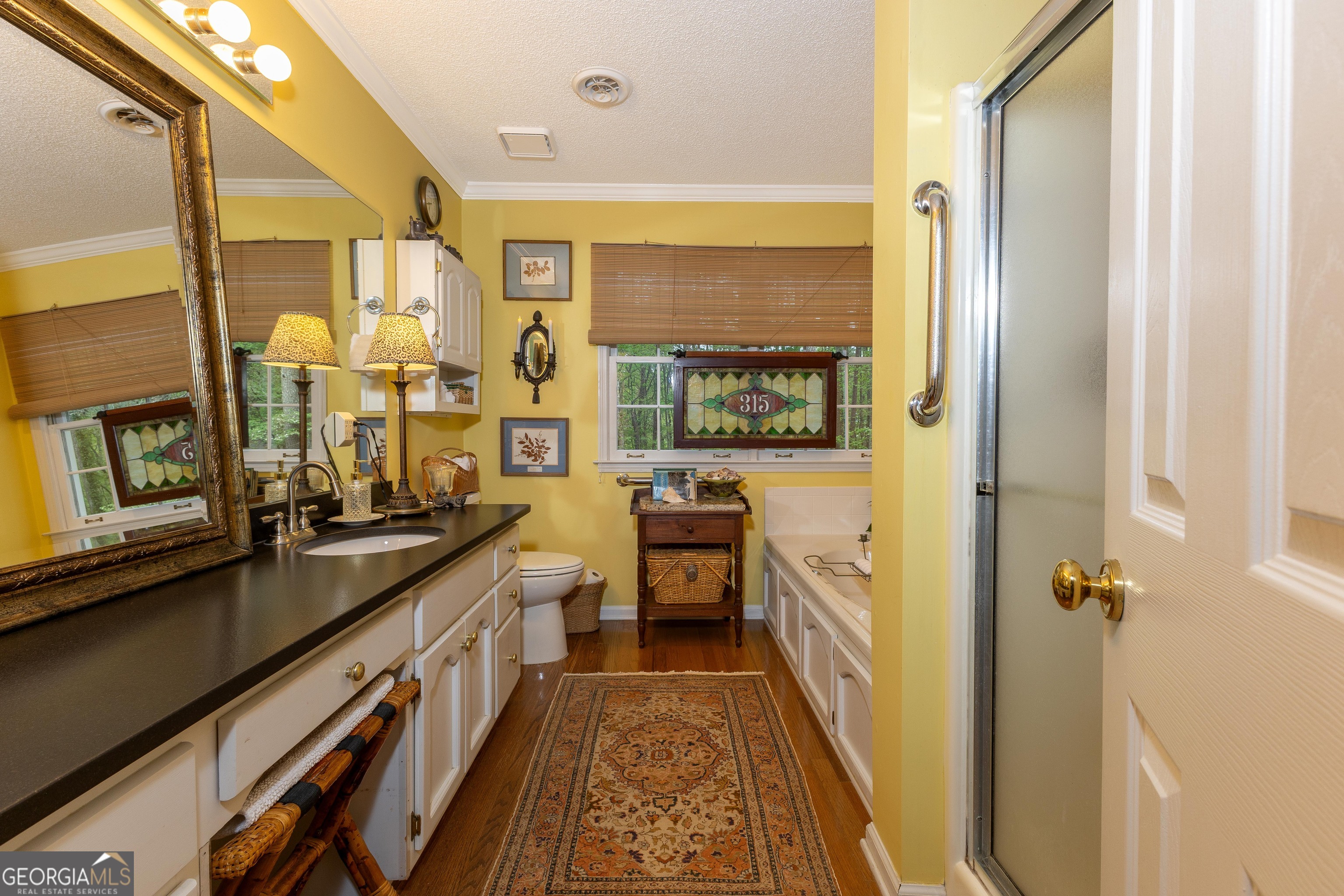 175 Weeping Willow Way Tyrone, GA 30290 - Photo 34 of 59 a bathroom with a sink a mirror and a bathtub
