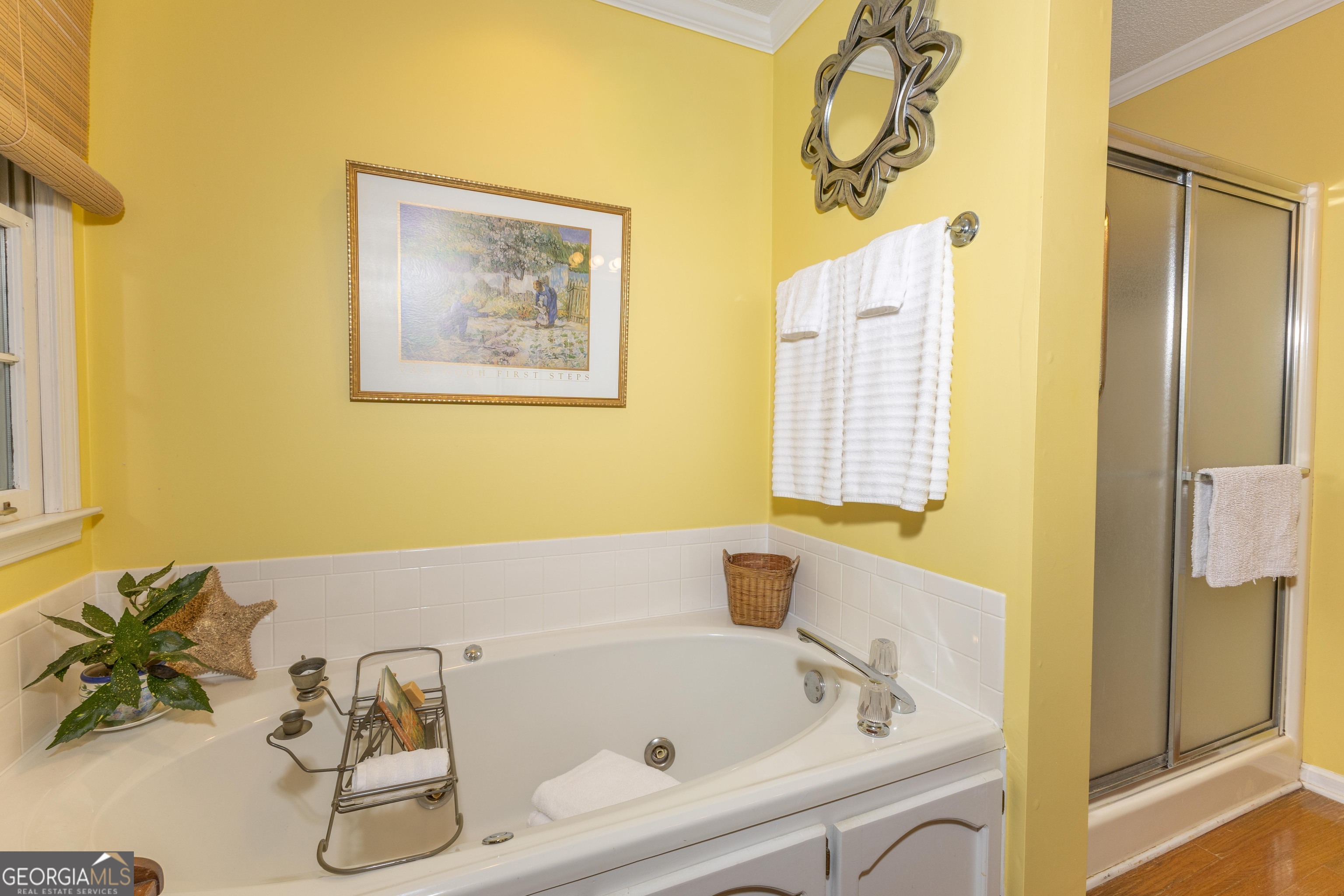 175 Weeping Willow Way Tyrone, GA 30290 - Photo 35 of 59 a bathroom with a tub and sink