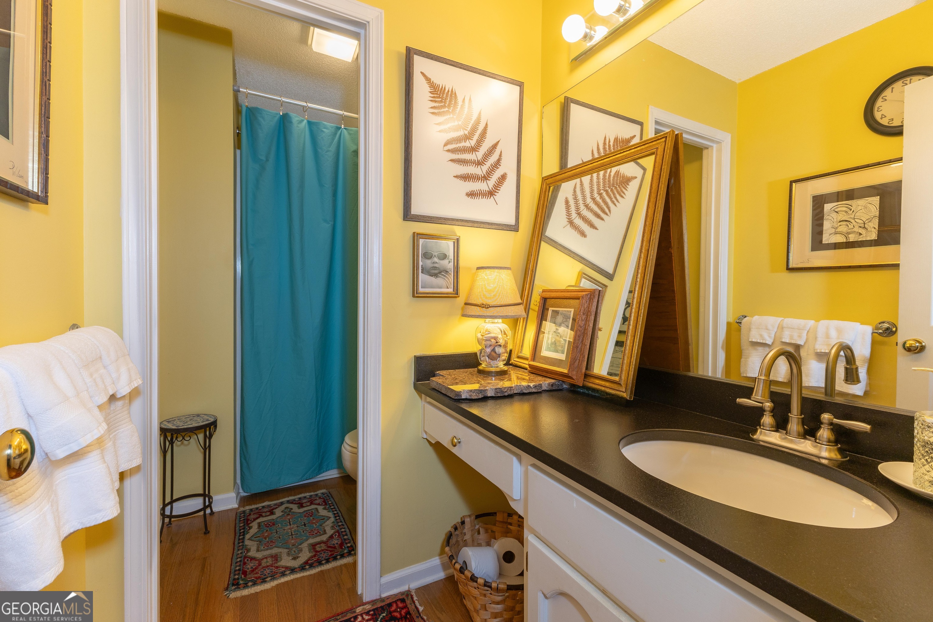 175 Weeping Willow Way Tyrone, GA 30290 - Photo 41 of 59 a bathroom with a sink and a mirror