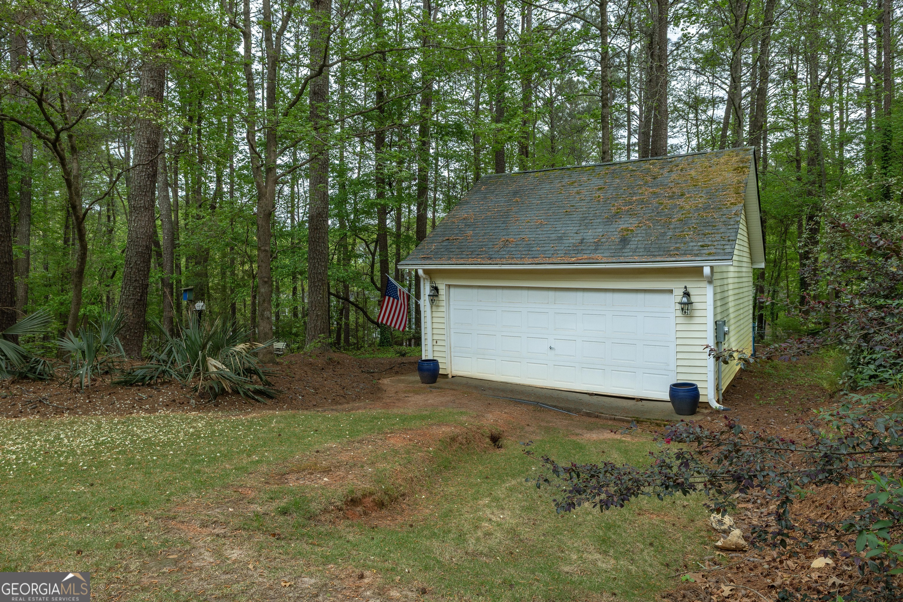175 Weeping Willow Way Tyrone, GA 30290 - Photo 51 of 59 a view of backyard with large trees