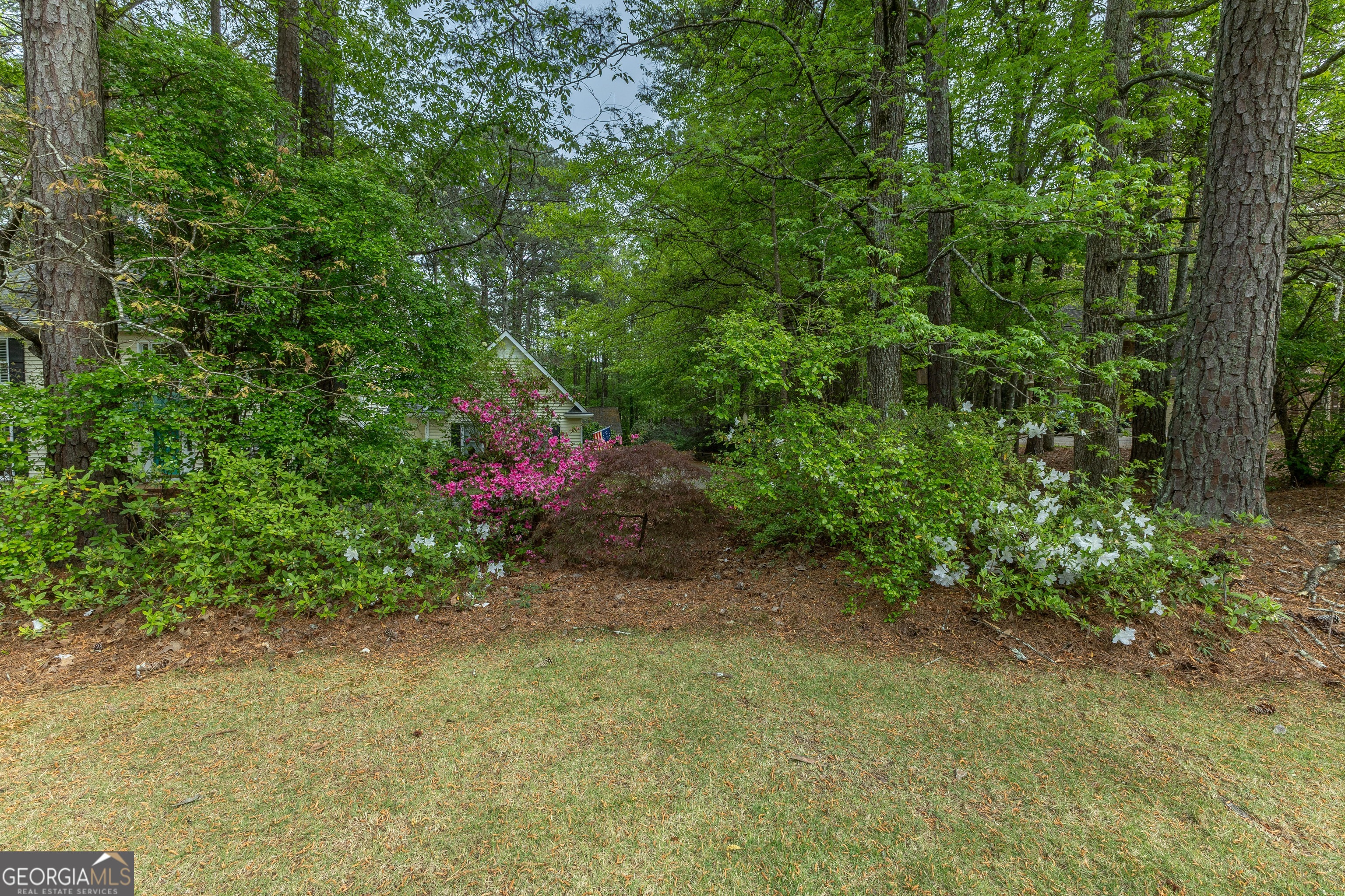 175 Weeping Willow Way Tyrone, GA 30290 - Photo 56 of 59