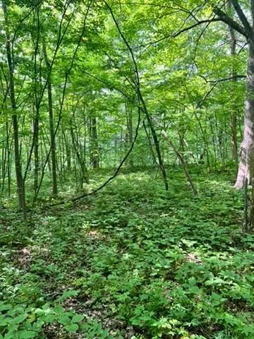 $95,000 | 28-xxx 89th Avenue, Boyd, WI 54726