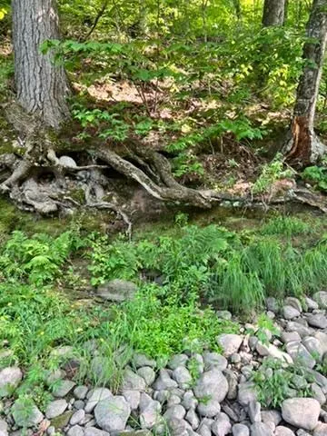 $95,000 | 28-xxx 89th Avenue, Boyd, WI 54726