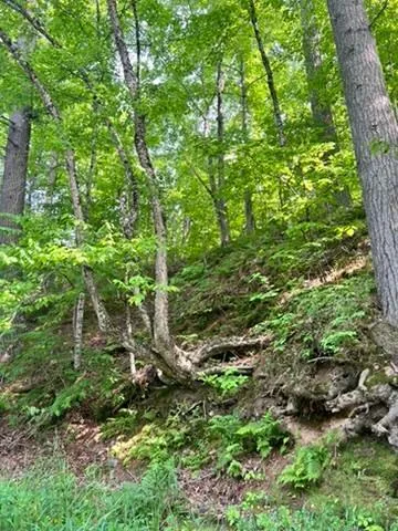 $95,000 | 28-xxx 89th Avenue, Boyd, WI 54726