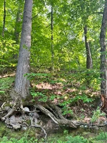 $95,000 | 28-xxx 89th Avenue, Boyd, WI 54726