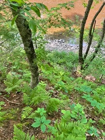 $95,000 | 28-xxx 89th Avenue, Boyd, WI 54726