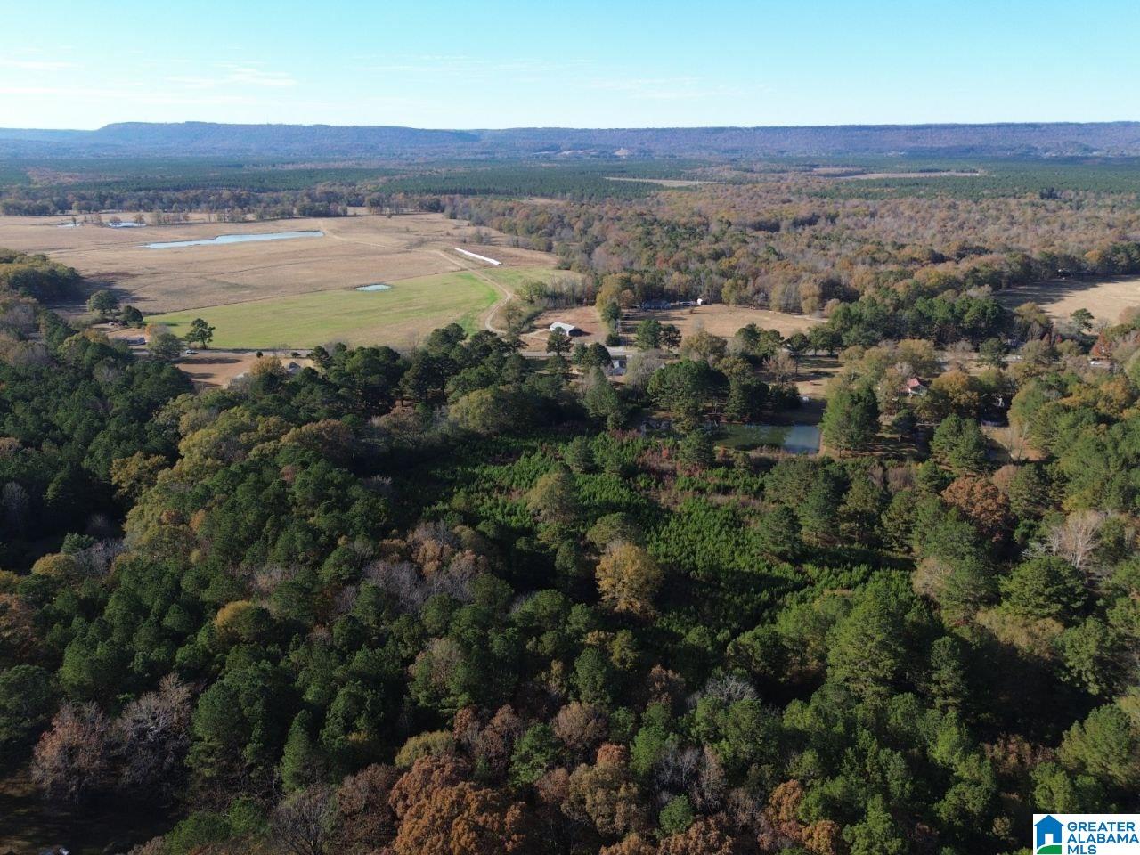 9 Loop Road, Unit 9 Ashville, AL 35953 - Photo 2 of 5
