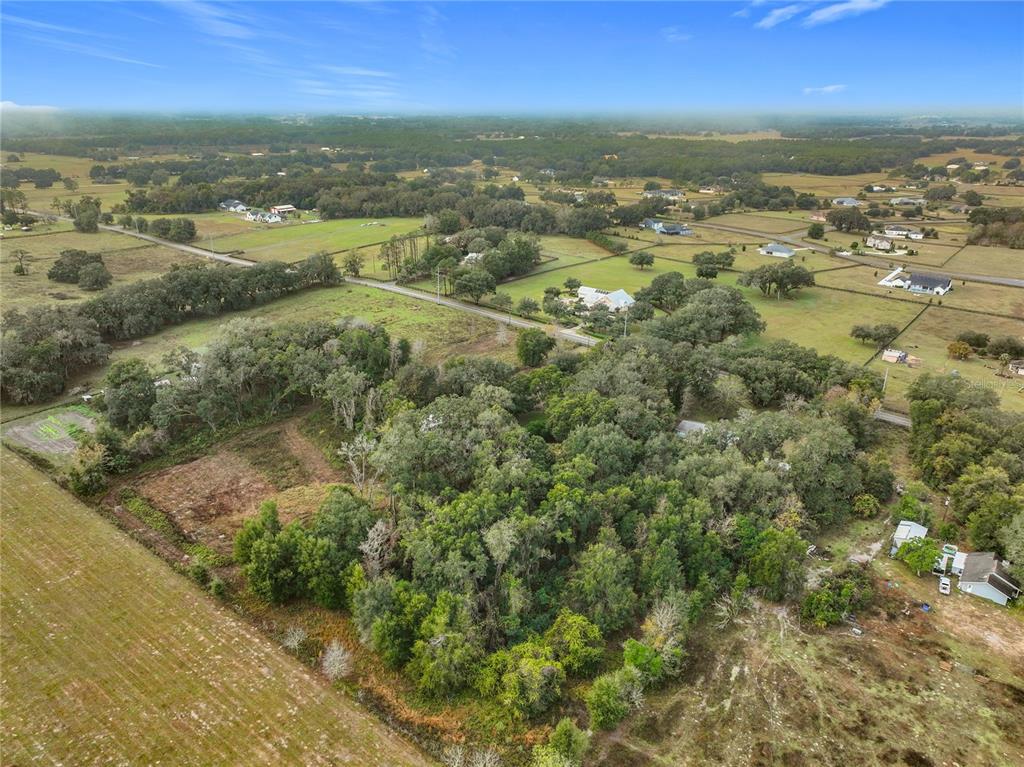 209 County Road Oxford, FL 34484 - Photo 11 of 14 a view of city and green space