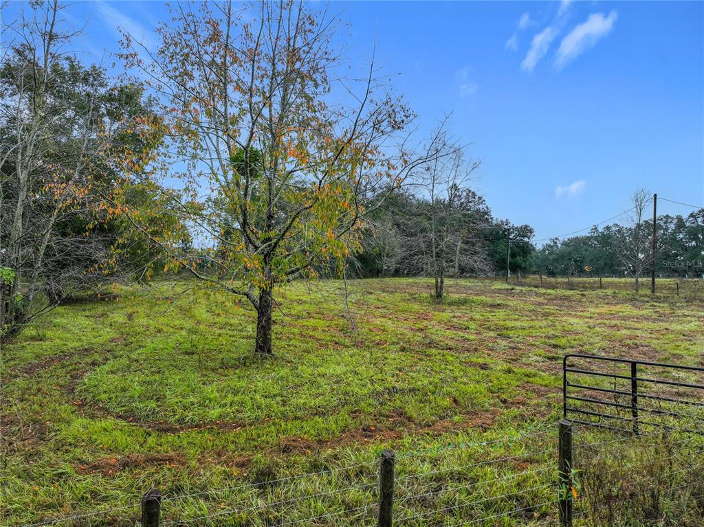 209 County Road Oxford, FL 34484 - Photo 5 of 14 a view of a lake with a yard