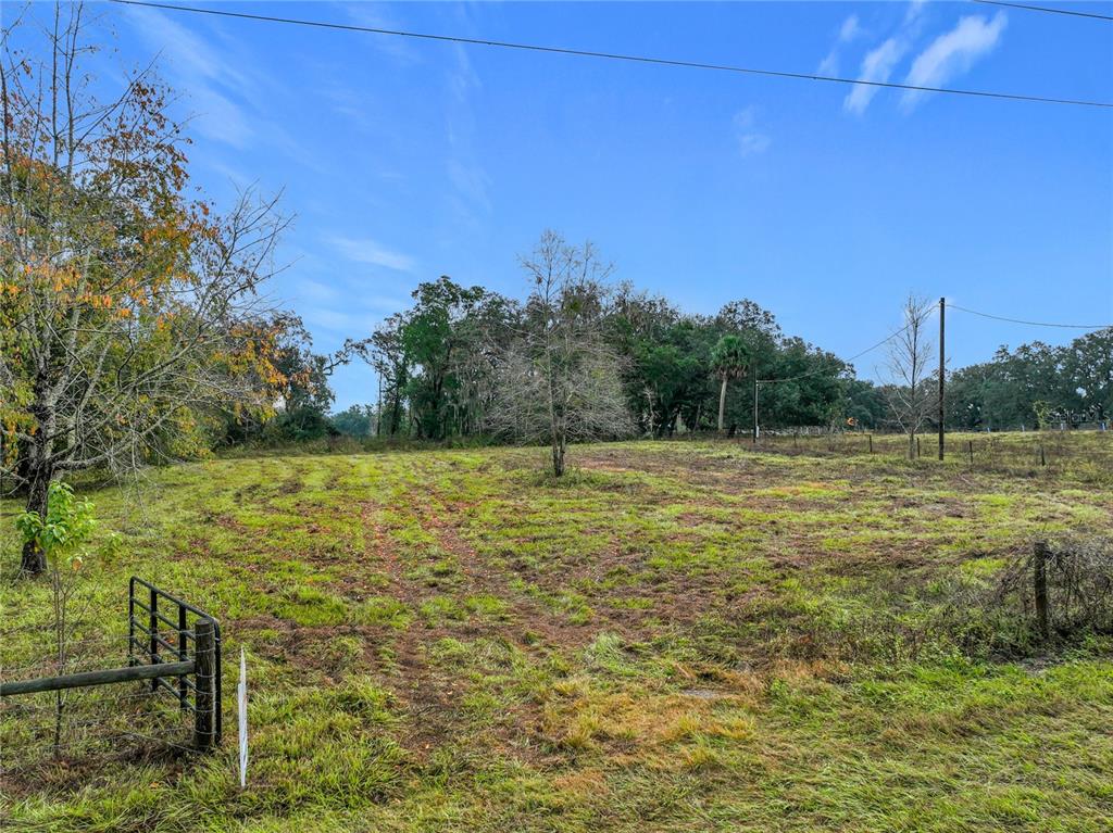 209 County Road Oxford, FL 34484 - Photo 6 of 14 a view of a field with an ocean
