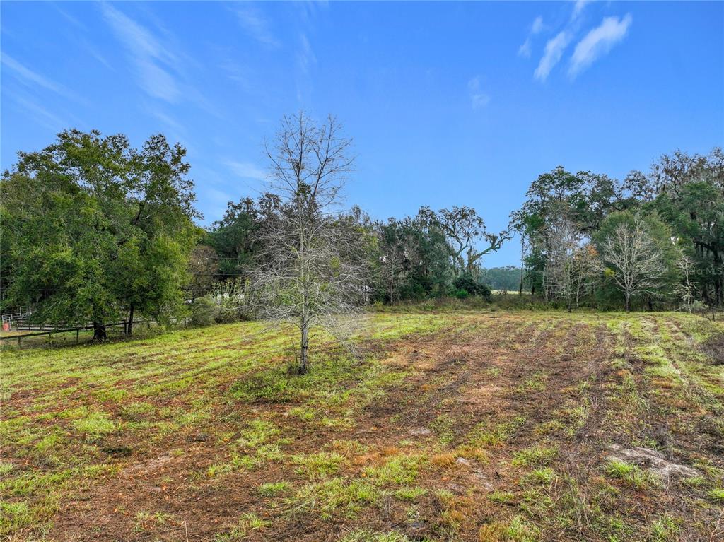 209 County Road Oxford, FL 34484 - Photo 8 of 14 a view of a field with trees in the background