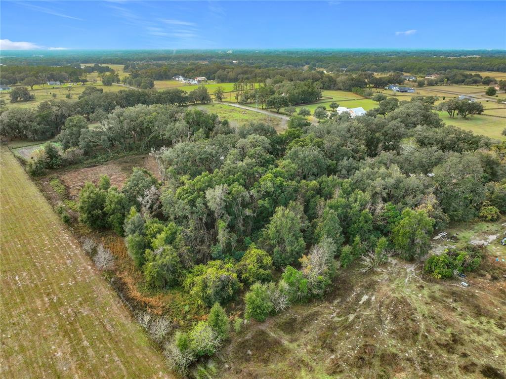 209 County Road Oxford, FL 34484 - Photo 9 of 14 a view of city and mountain