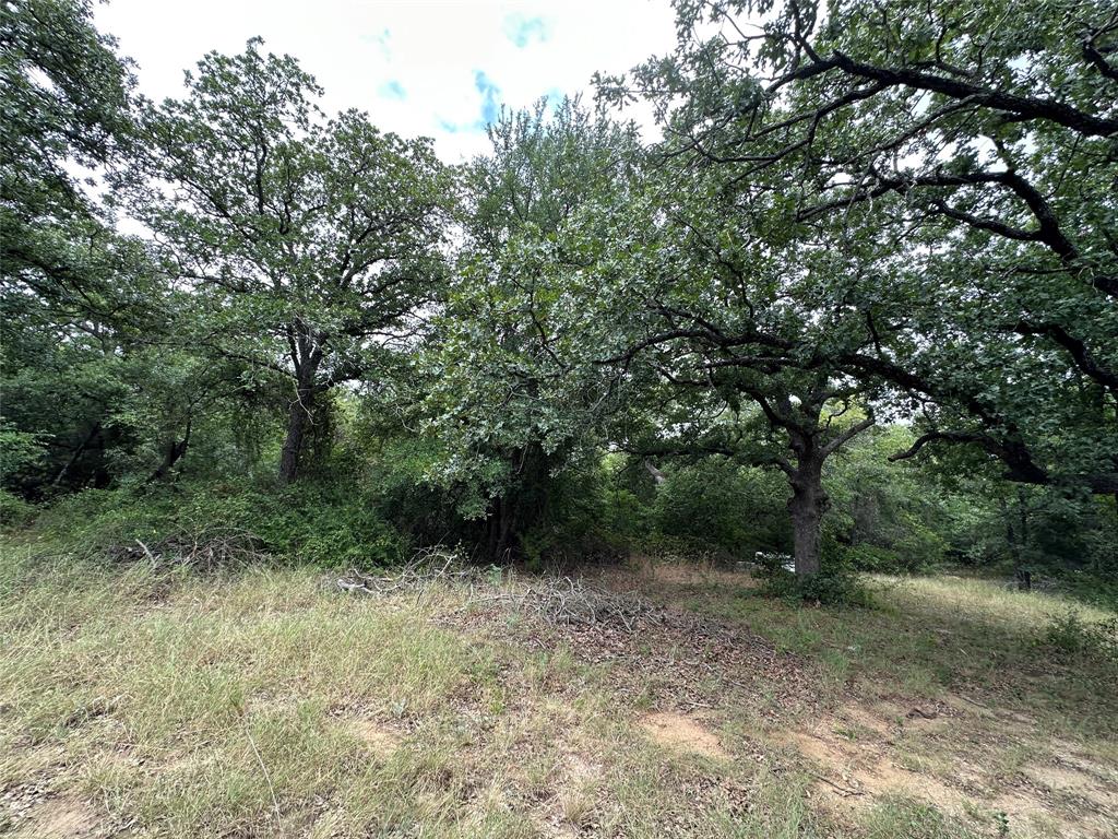 176 Live Oak Road Springtown, TX 76082 - Photo 12 of 29