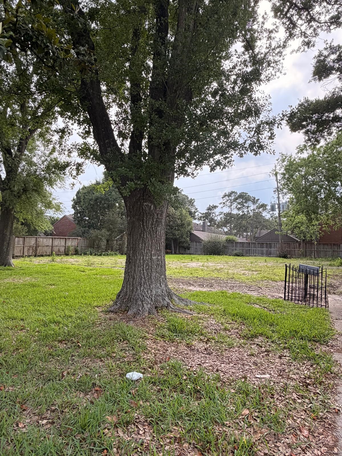 802 Chimney Rock Road Houston, TX 77057 - Photo 4 of 7 a view of outdoor space with garden