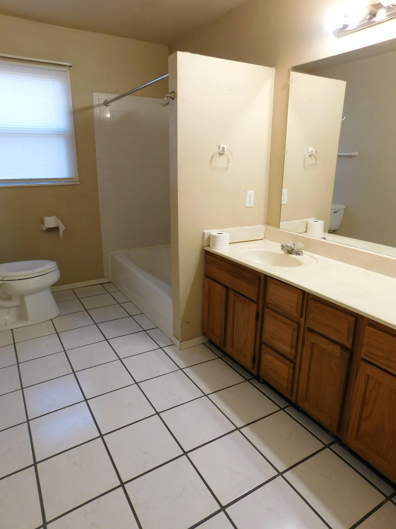 1722 West Ave B Muleshoe, TX 79347 - Photo 10 of 20 a bathroom with a sink a toilet and a mirror