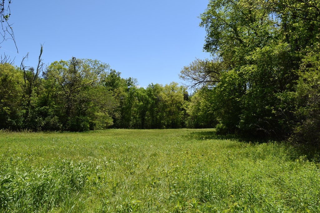 44 Rocky Valley Road New Market, TN 37820 - Photo 9 of 49 Gallery Image 9
