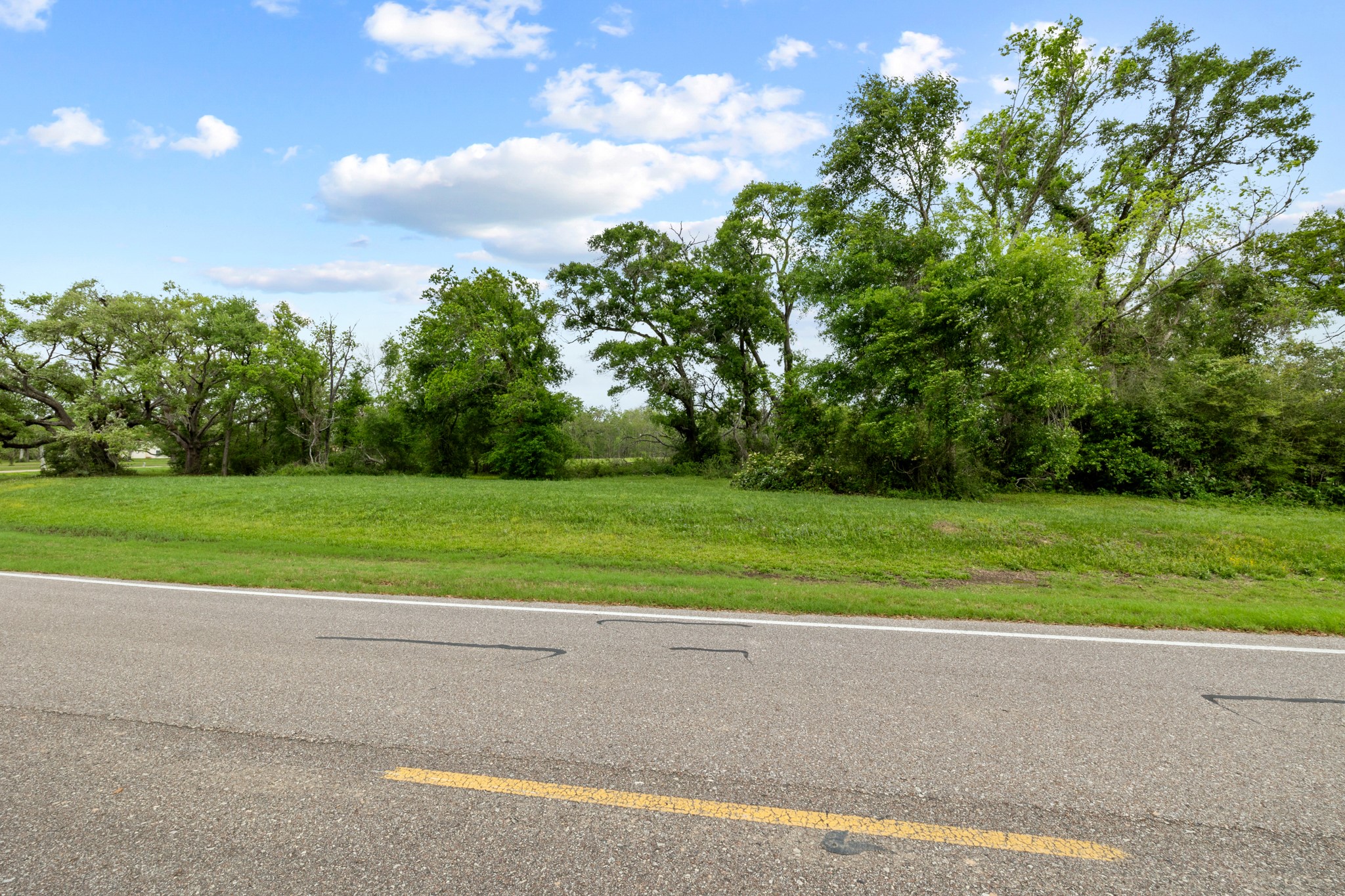 21702 Chenango Lake Drive Angleton, TX 77515 - Photo 15 of 21 a view of a field of grass and trees