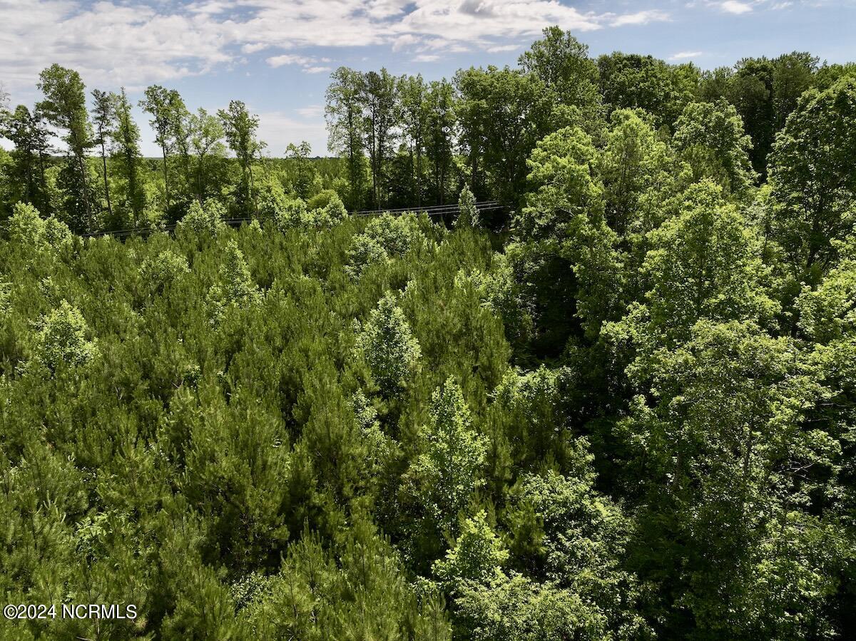 4 Baltimore Road Warrenton, NC 27589 - Photo 16 of 48 16