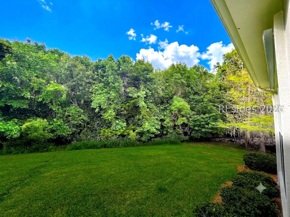 243 Landing Lane Bluffton, SC 29909 - Photo 21 of 22