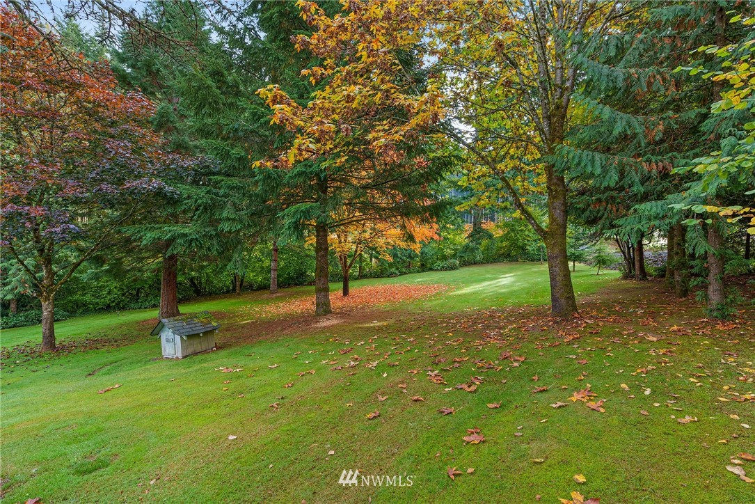 237 Frogner Road Chehalis, WA 98532 - Photo 24 of 37 a view of a tree in a park