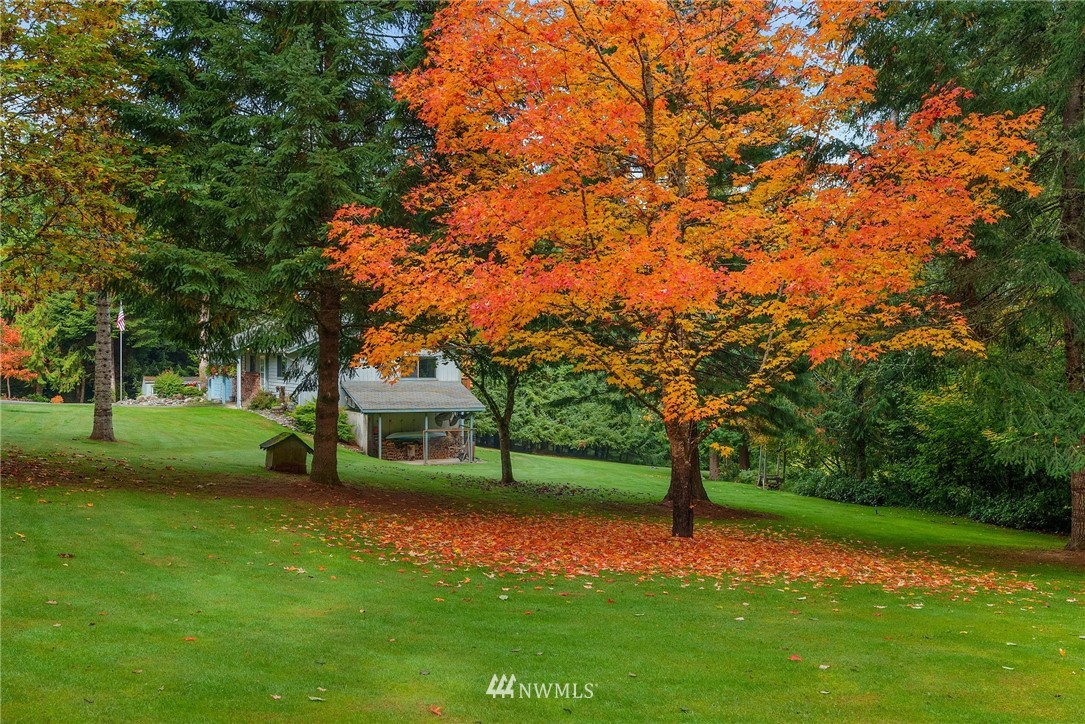 237 Frogner Road Chehalis, WA 98532 - Photo 25 of 37 a view of a house with a yard