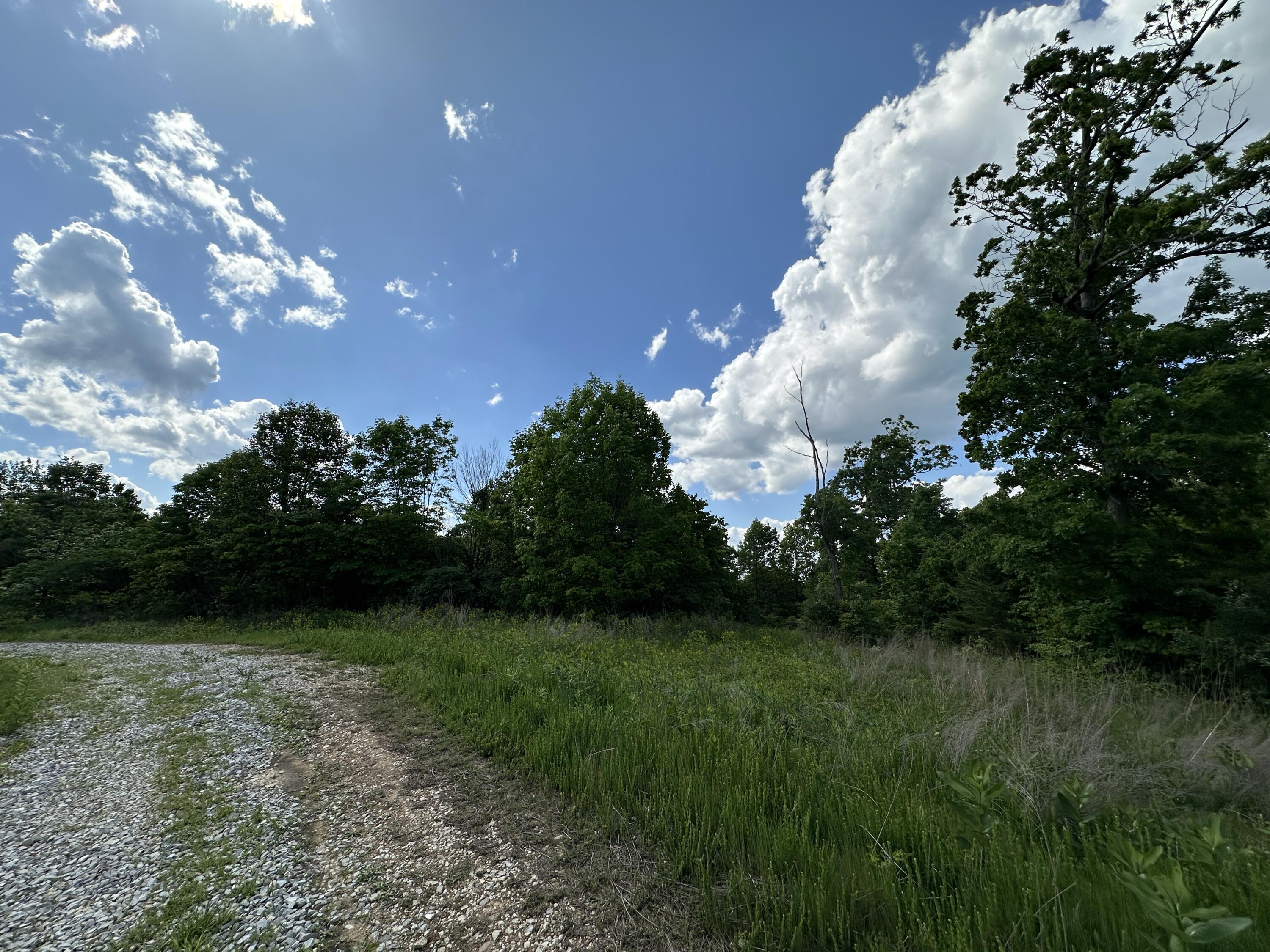14 Williams Creek Road Denton, KY 41132 - Photo 3 of 29 2