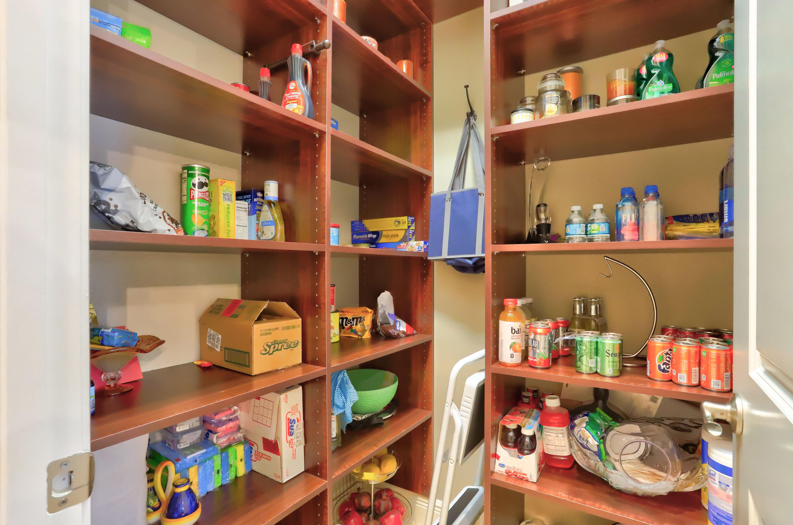 17398 Pavaroso Street Boca Raton, FL 33496 - Photo 23 of 56 Pantry
