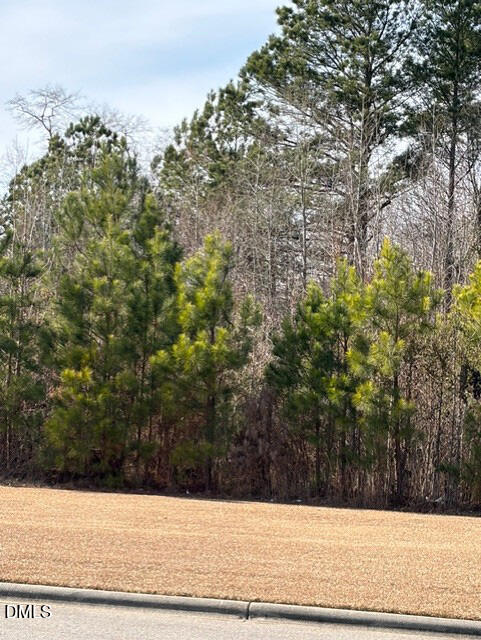 0 St Matthews Road Erwin, NC 28339 - Photo 2 of 5