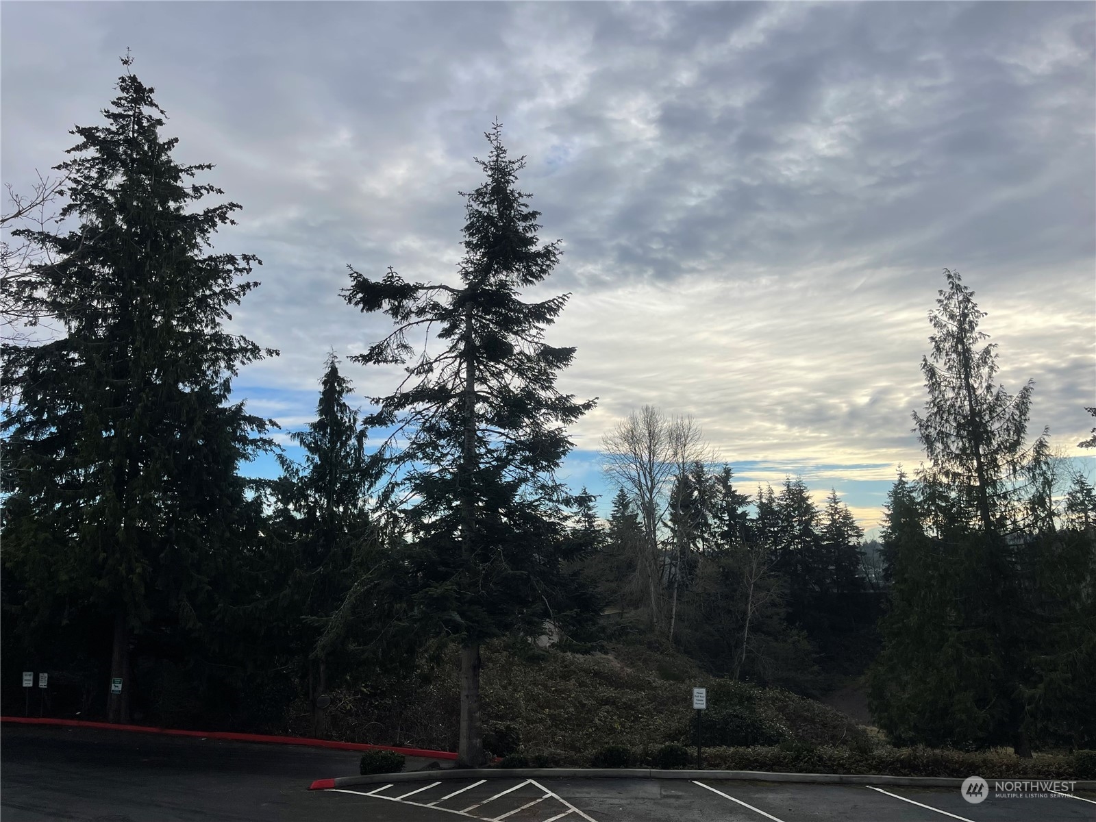 2613 Northeast 4th Street, Unit 221 Renton, WA 98056 - Photo 30 of 31 a view of outdoor space and yard